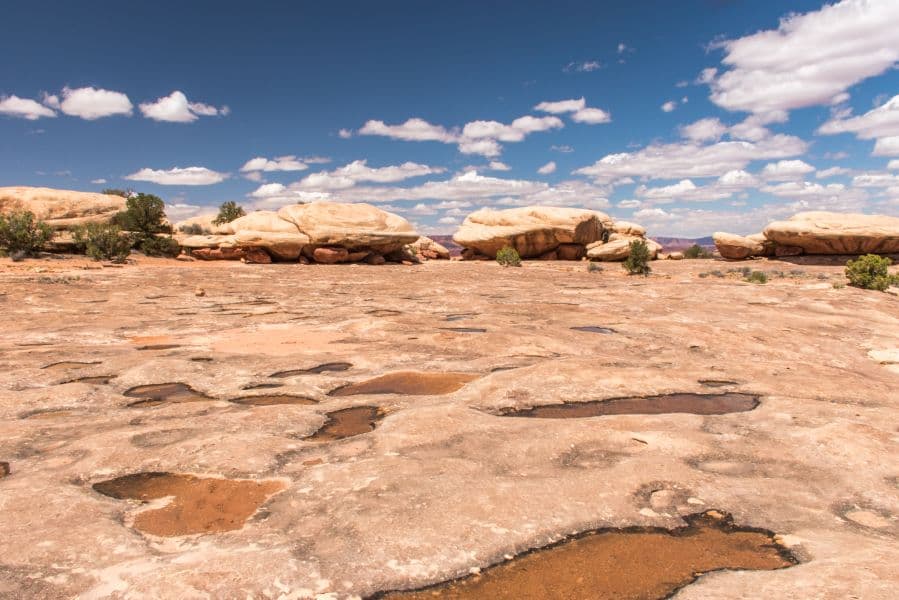 Water-filled potholes in slickrock at Pothole Point